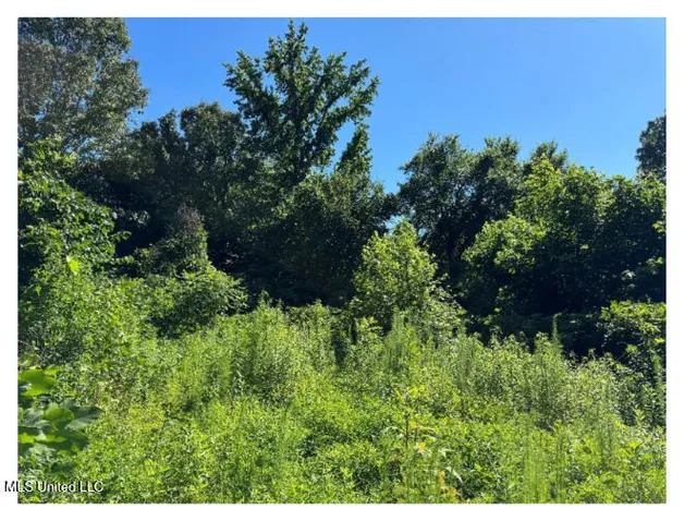 $408,000 | 3605 Byhalia Road, Hernando, MS 38632