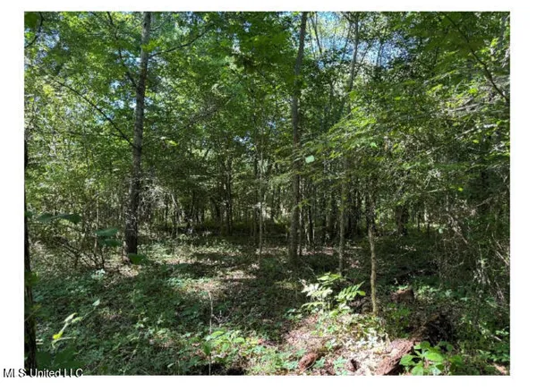 $360,000 | 3605 Byhalia Road, Hernando, MS 38632