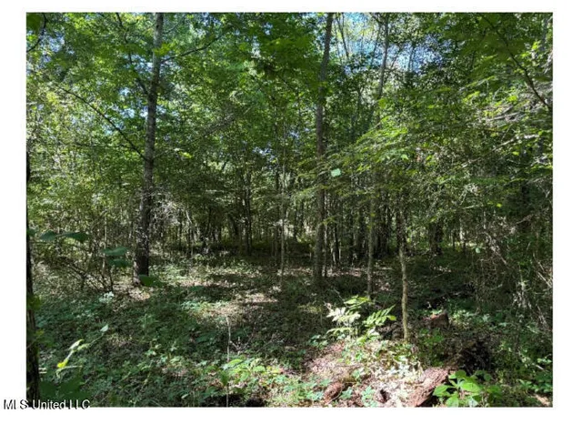 $408,000 | 3605 Byhalia Road, Hernando, MS 38632