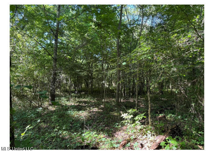 3605 Byhalia Road Hernando, MS 38632 - Photo 3 of 6 3605 Byhalia photo