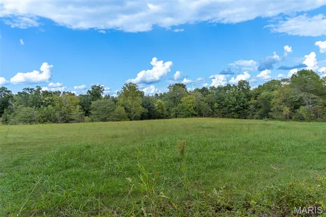 $460,000 | 0 State Highway East, Oak Ridge, MO 63769