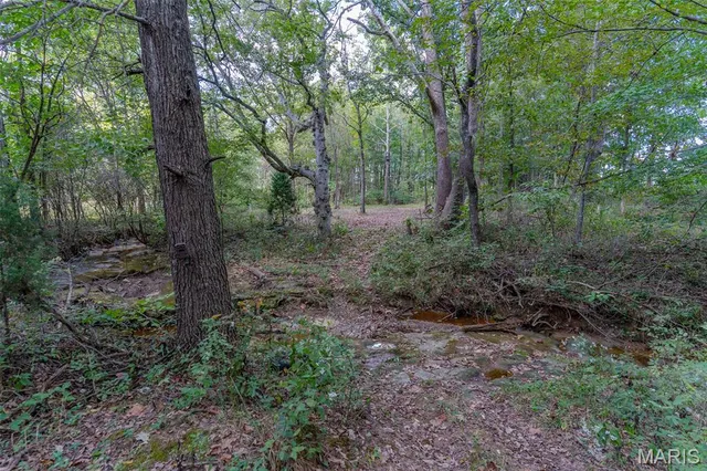 $460,000 | 0 State Highway East, Oak Ridge, MO 63769