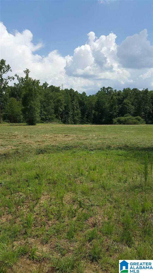 505 Rock Crusher Road Steele, AL 35987 - Photo 13 of 26