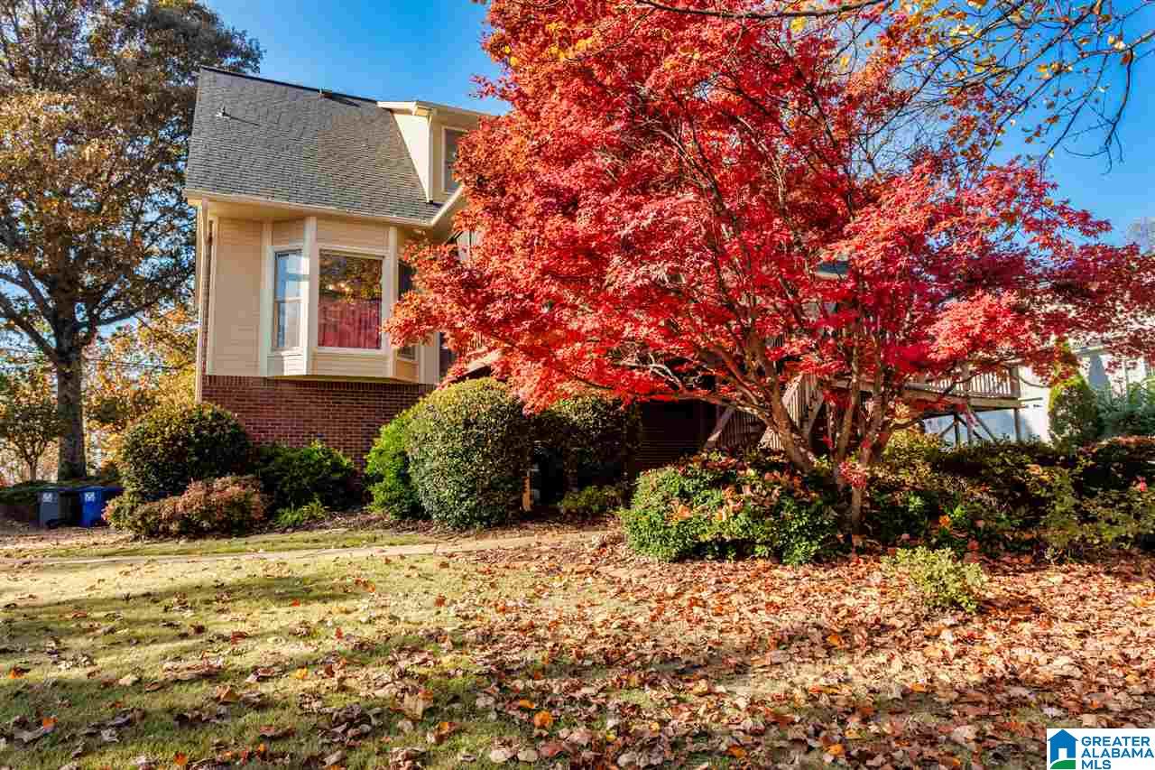 4041 South Shades Crest Road Birmingham, AL 35244 - Photo 44 of 45