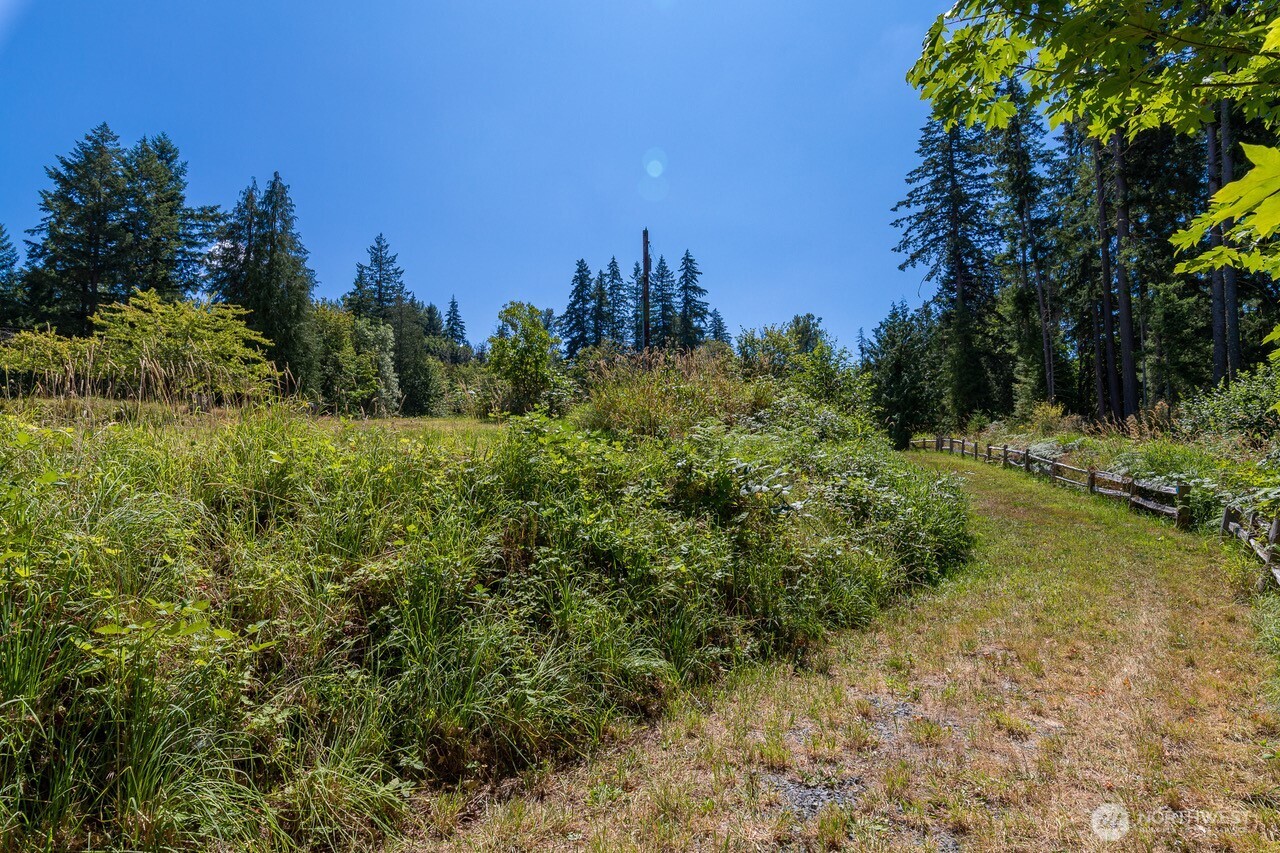 34304 Thomas Road East Eatonville, WA 98328 - Photo 13 of 13
