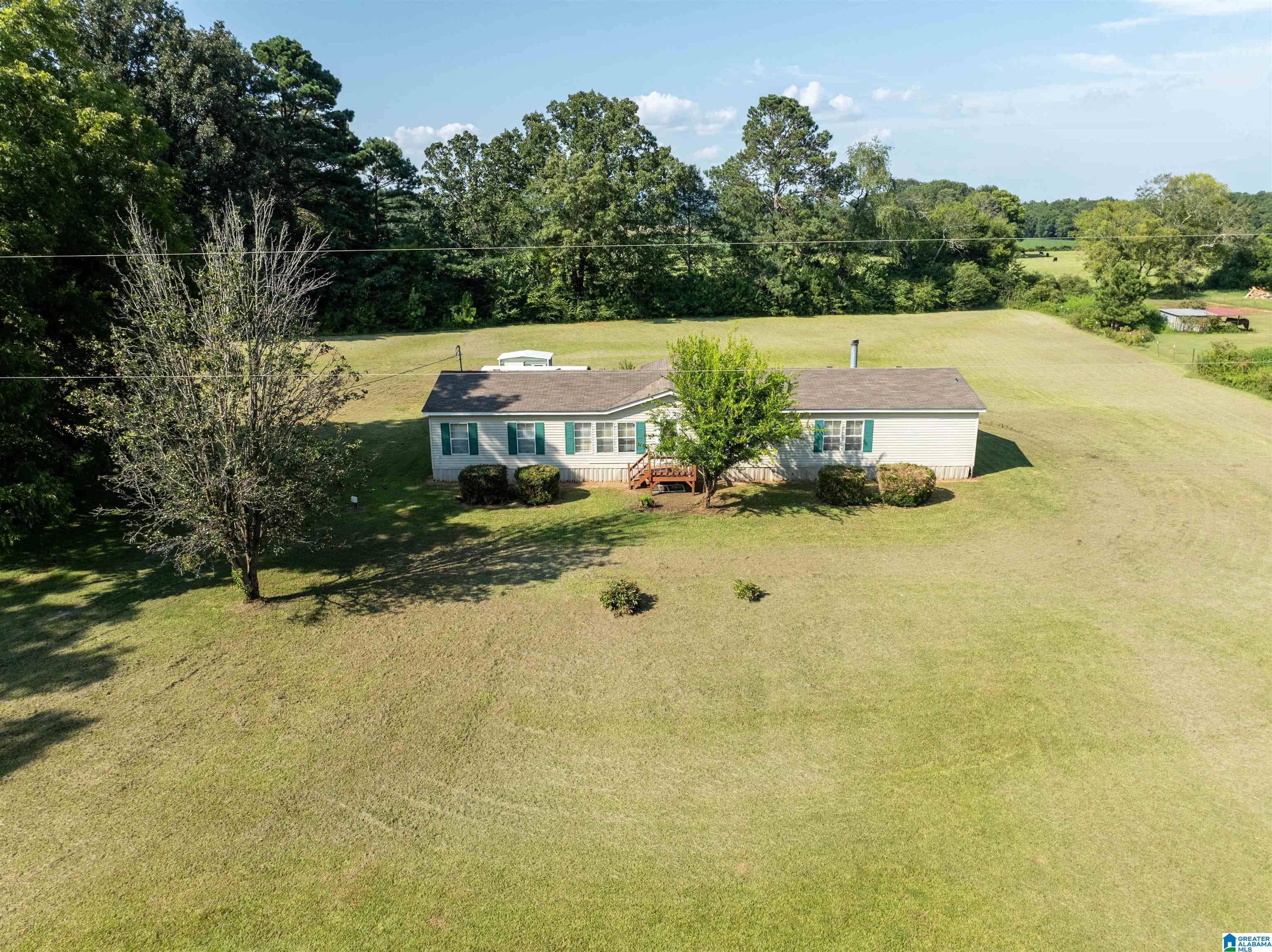 187 Henderson Lake Road Munford, AL 36268 - Photo 2 of 38