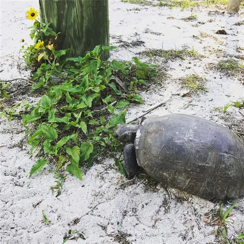 a view of ocean view