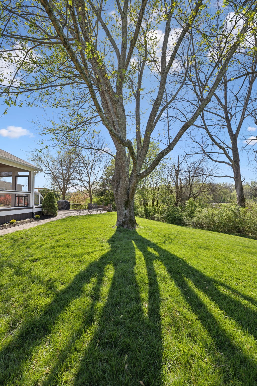 203 Riverwood Drive Franklin, TN 37069 - Photo 54 of 67