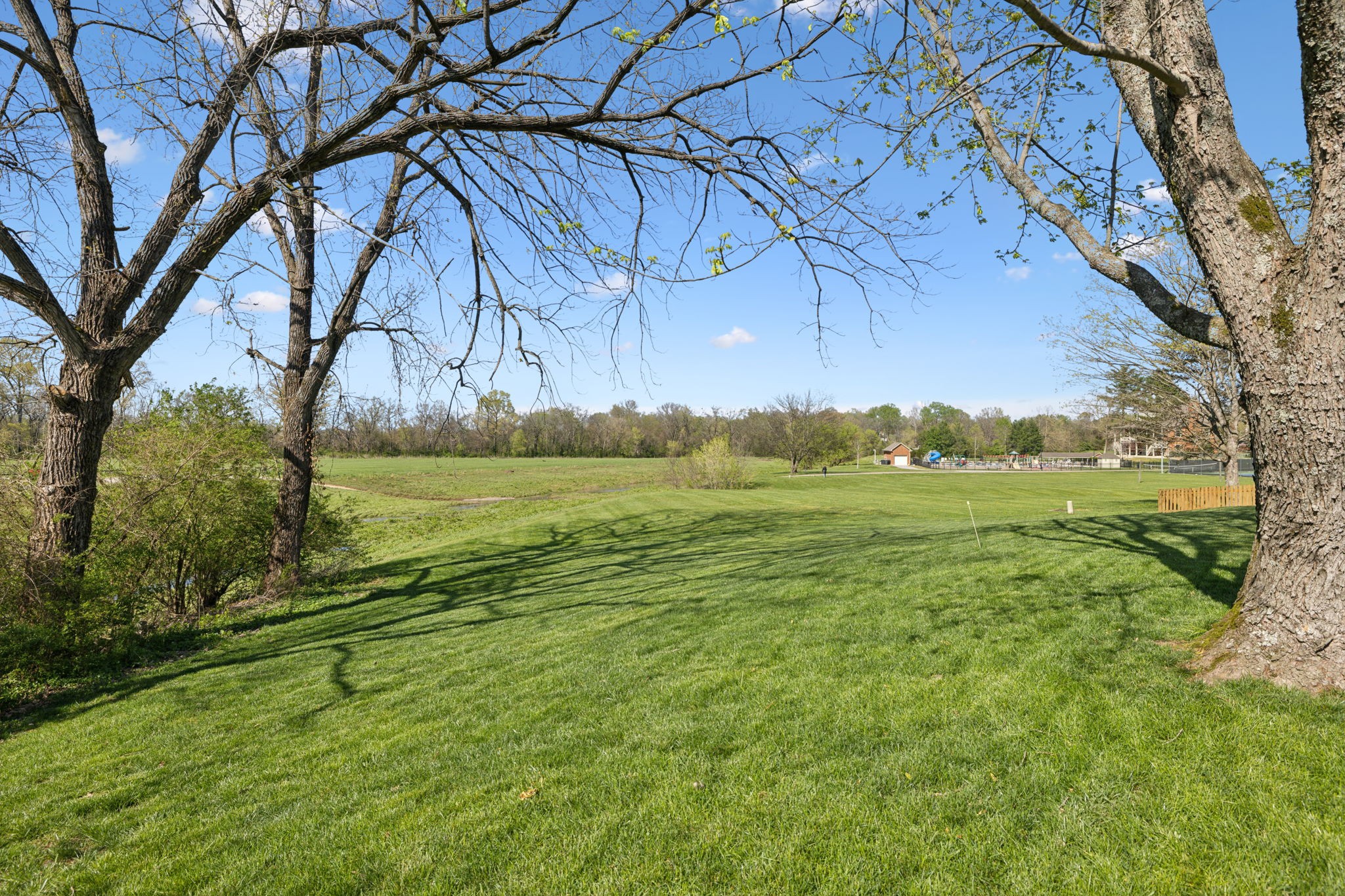 203 Riverwood Drive Franklin, TN 37069 - Photo 55 of 67