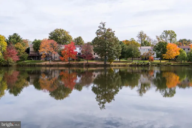 a view of street with shops