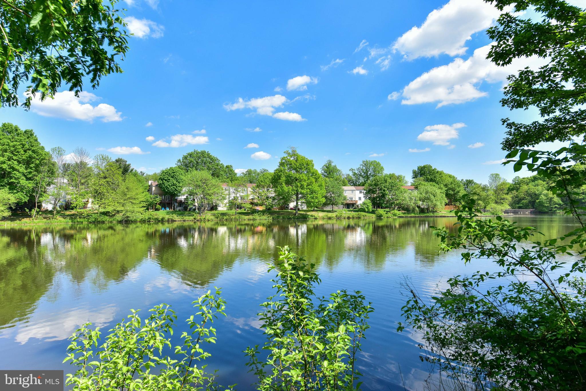 2858 New Providence Court Falls Church, VA 22042 - Photo 33 of 62 a view of a lake in between two of trees