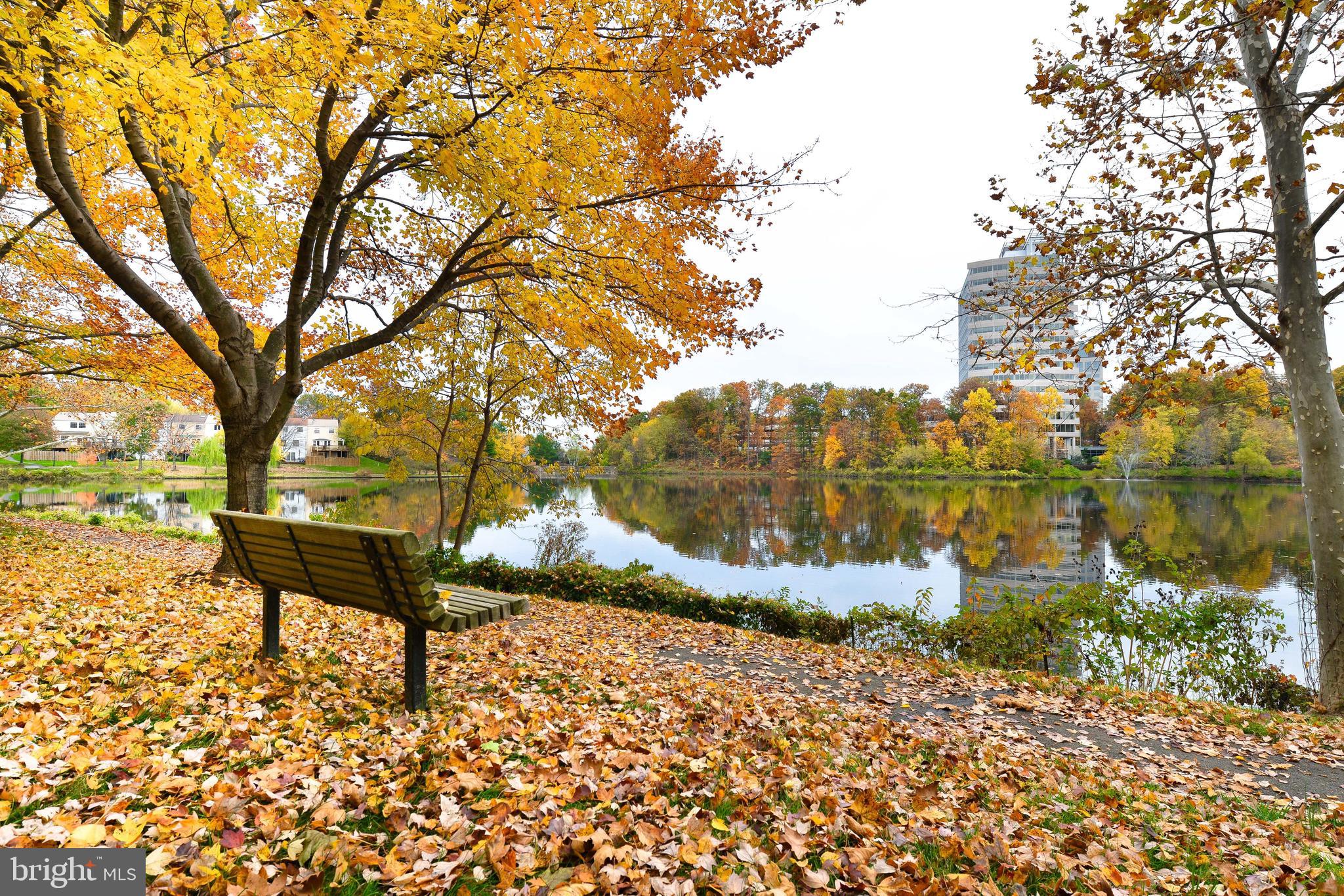 2858 New Providence Court Falls Church, VA 22042 - Photo 34 of 62