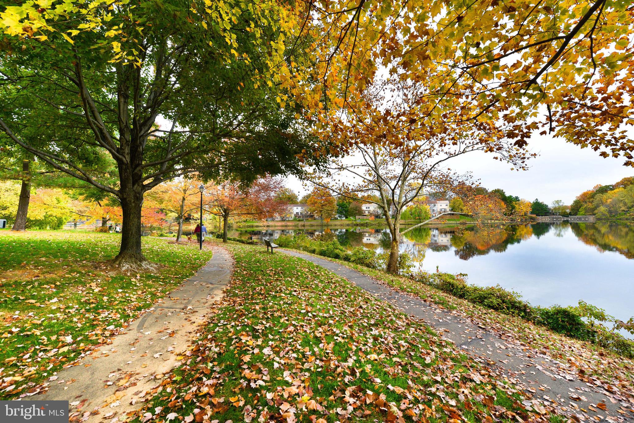 2858 New Providence Court Falls Church, VA 22042 - Photo 36 of 62