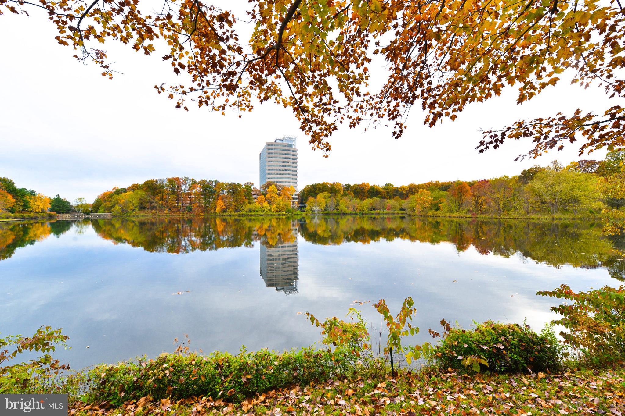 2858 New Providence Court Falls Church, VA 22042 - Photo 37 of 62 a view of a lake with a lake