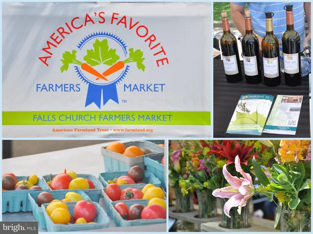 $2,800 | 2858 New Providence Court, Falls Church, VA 22042