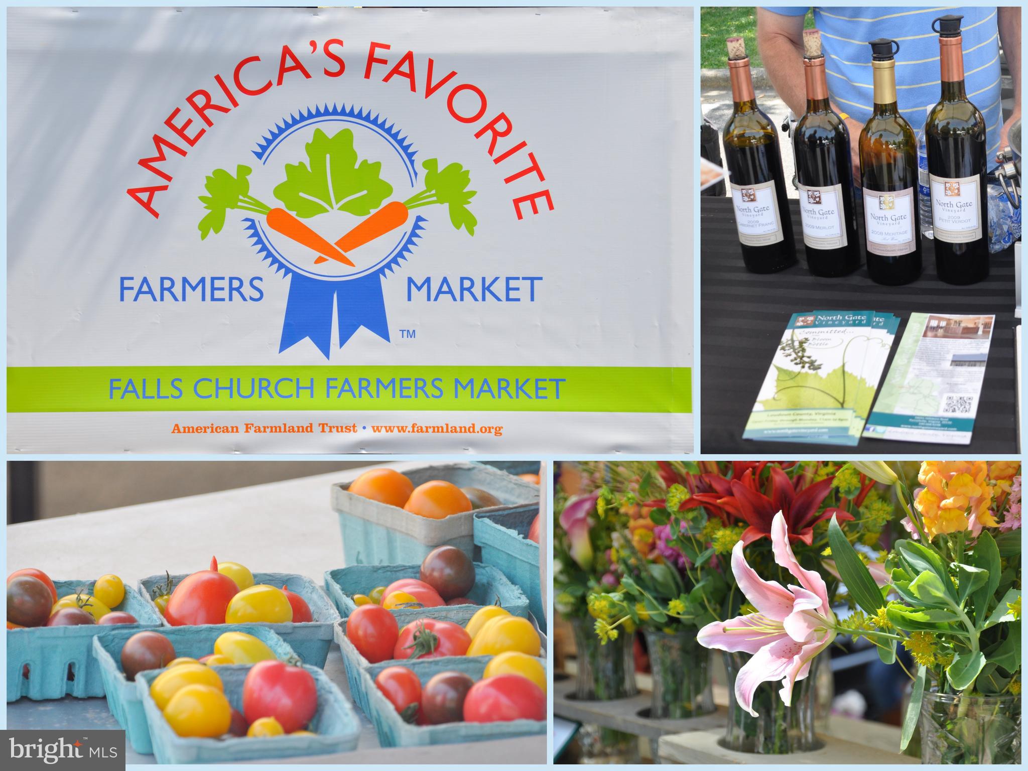 2858 New Providence Court Falls Church, VA 22042 - Photo 62 of 62