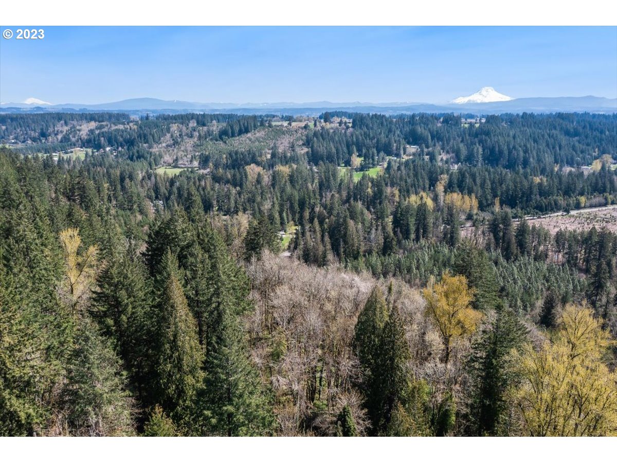 21121 South Redland Road Oregon City, OR 97045 - Photo 1 of 11 a view of a city with lush green forest