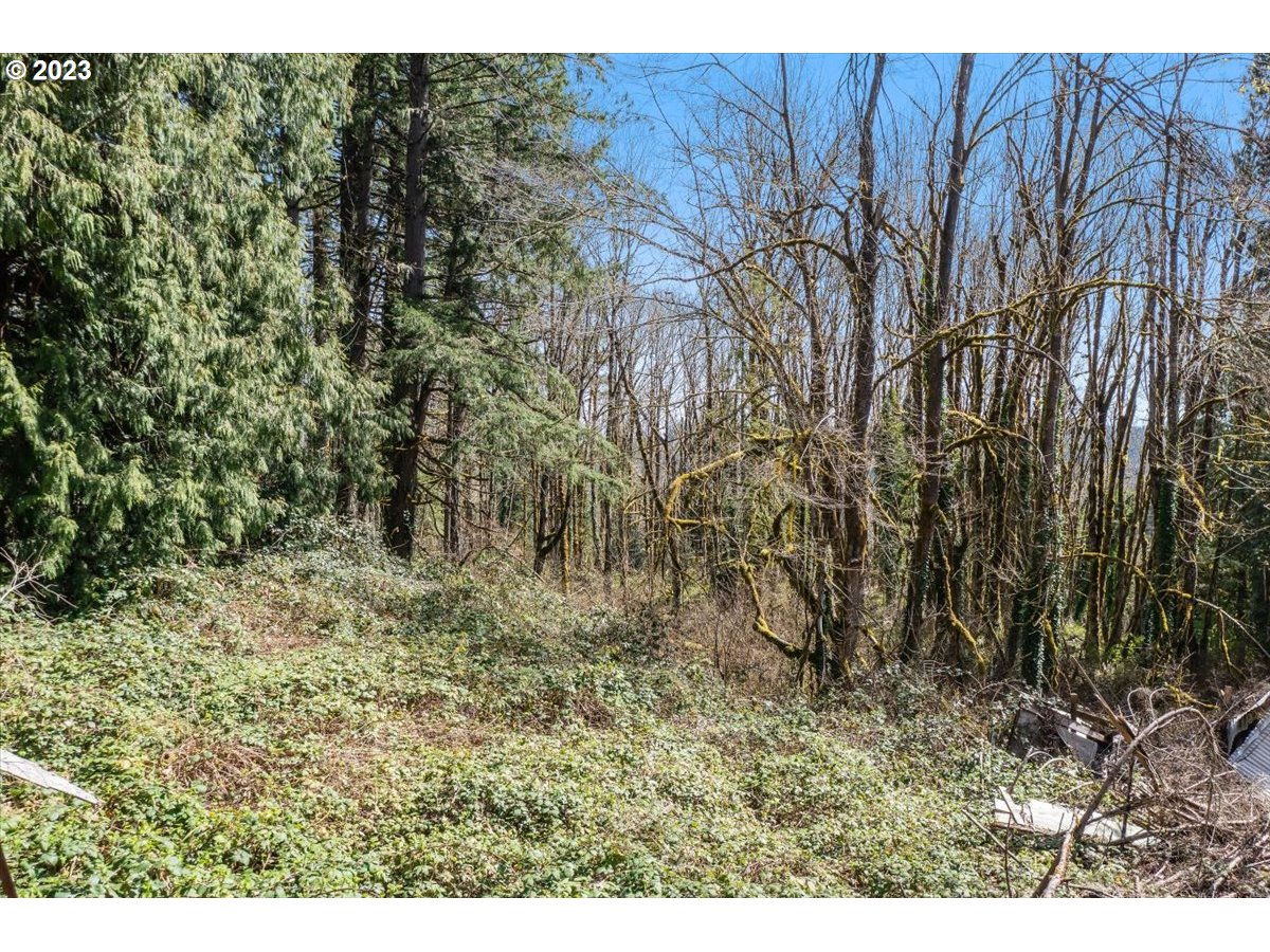 21121 South Redland Road Oregon City, OR 97045 - Photo 2 of 11 a view of outdoor space and a yard