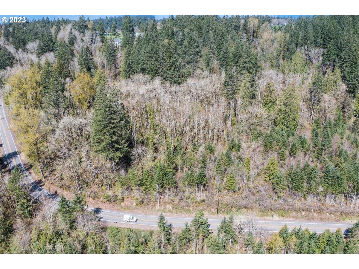 21121 South Redland Road Oregon City, OR 97045 - Photo 5 of 11 a view of a yard with green space