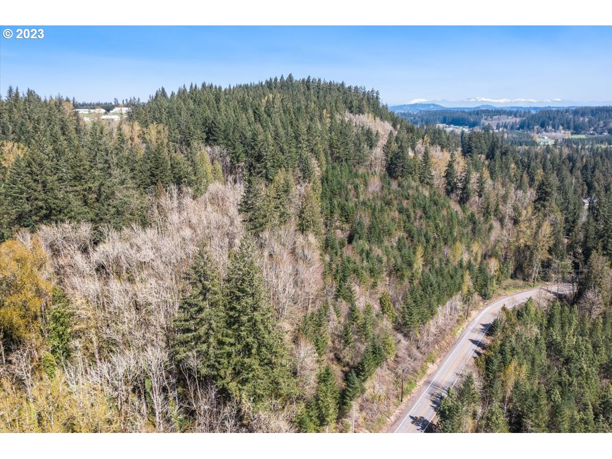 21121 South Redland Road Oregon City, OR 97045 - Photo 6 of 11 a view of city and mountain