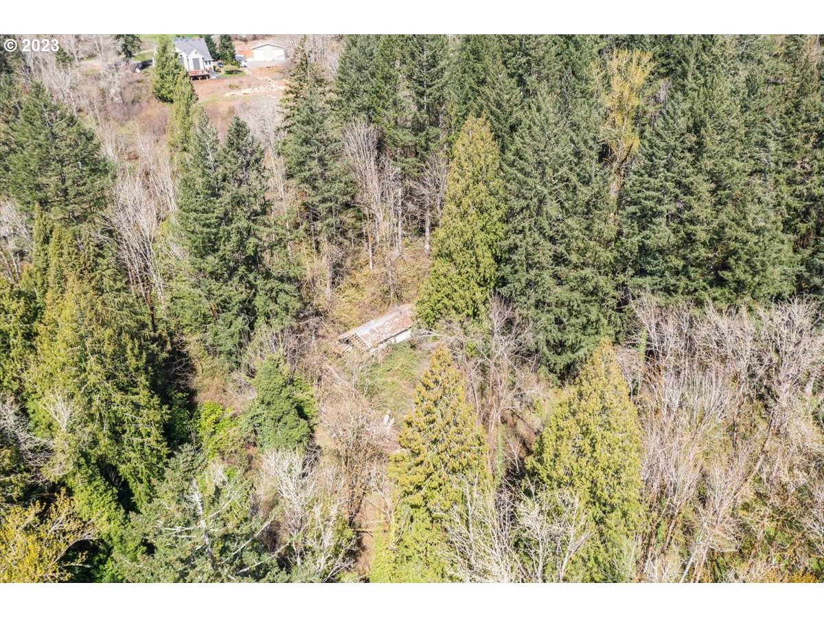 21121 South Redland Road Oregon City, OR 97045 - Photo 7 of 11 a view of a forest with a tree