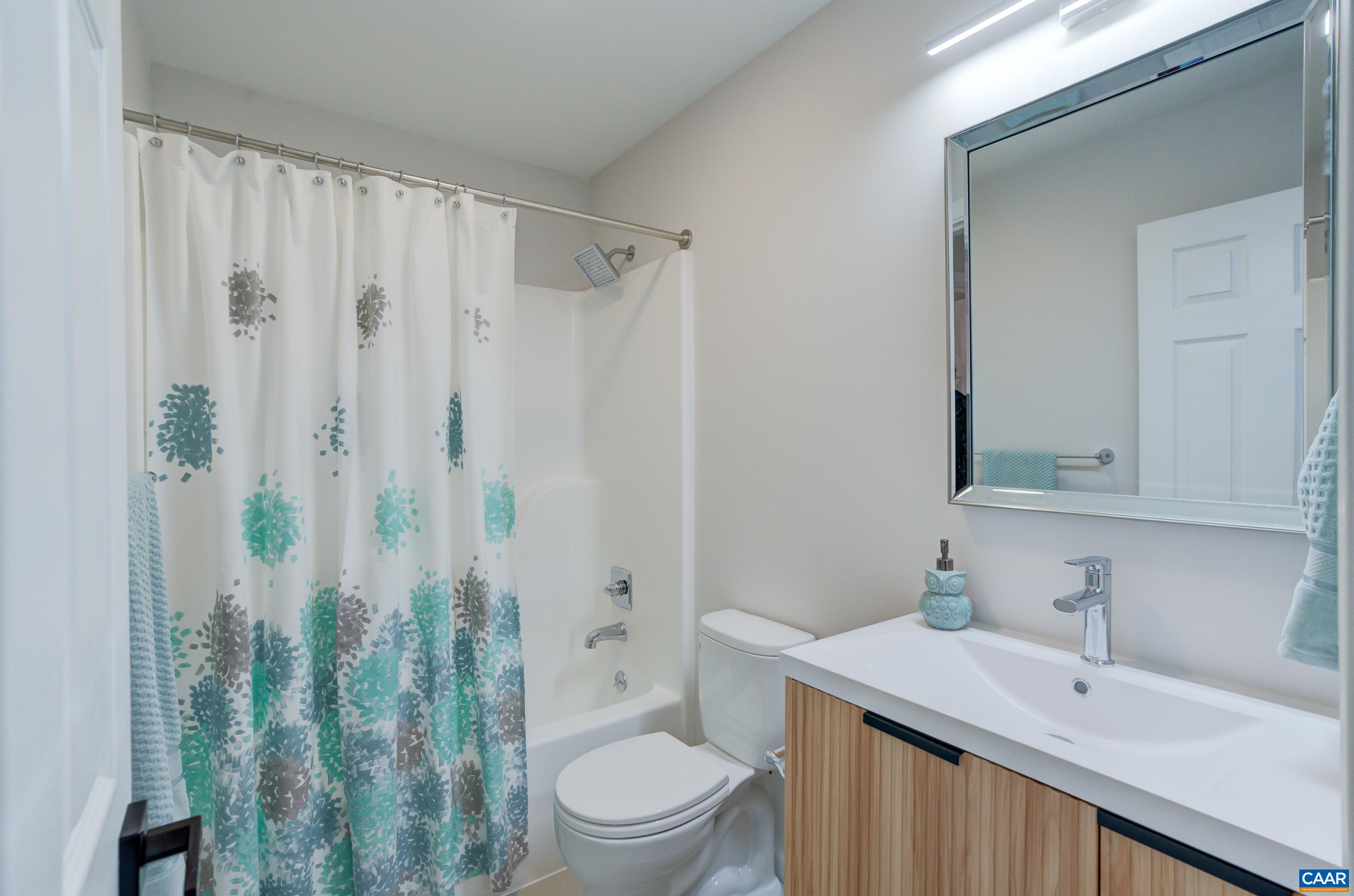 5582 Brookwood Road Crozet, VA 22932 - Photo 25 of 61 a bathroom with a sink a toilet and shower