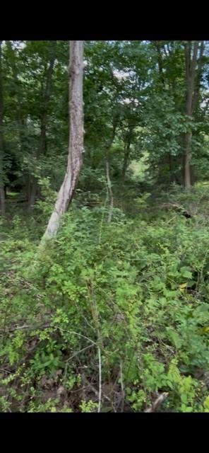 0 Wexford Road Wexford, PA 15090 - Photo 11 of 13