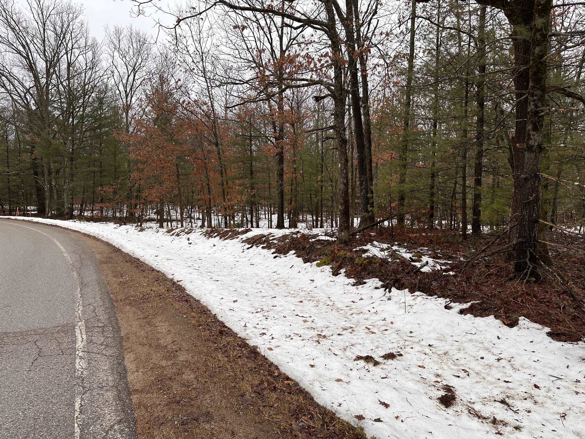 F Albrecht Road Interlochen, MI 49643 - Photo 2 of 5