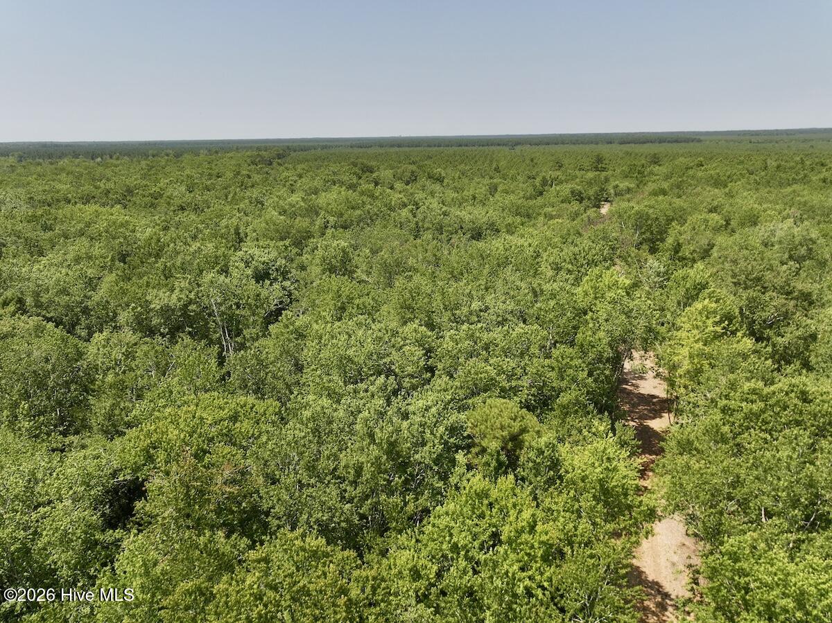 28 Guinea Mill Road Ernul, NC 28527 - Photo 17 of 21