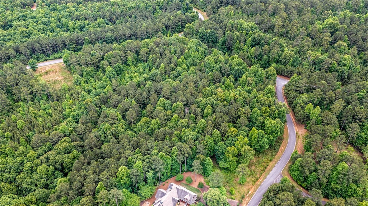 384 Cliffs S Parkway Salem, SC 29676 - Photo 4 of 7