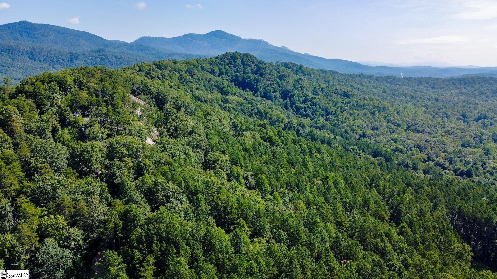 6940 Highway 11 Sunset, SC 29685 - Photo 12 of 14