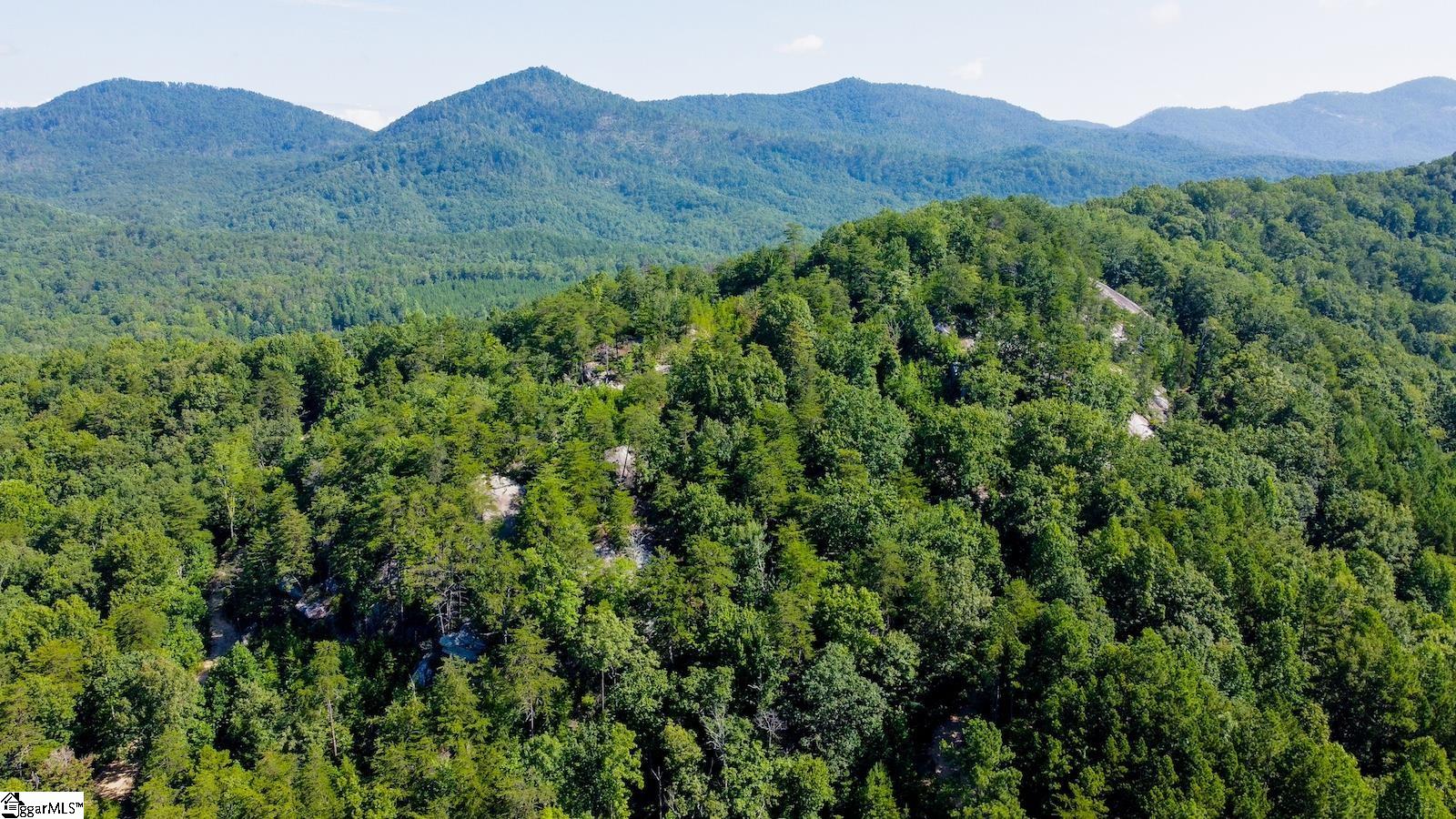 6940 Highway 11 Sunset, SC 29685 - Photo 13 of 14