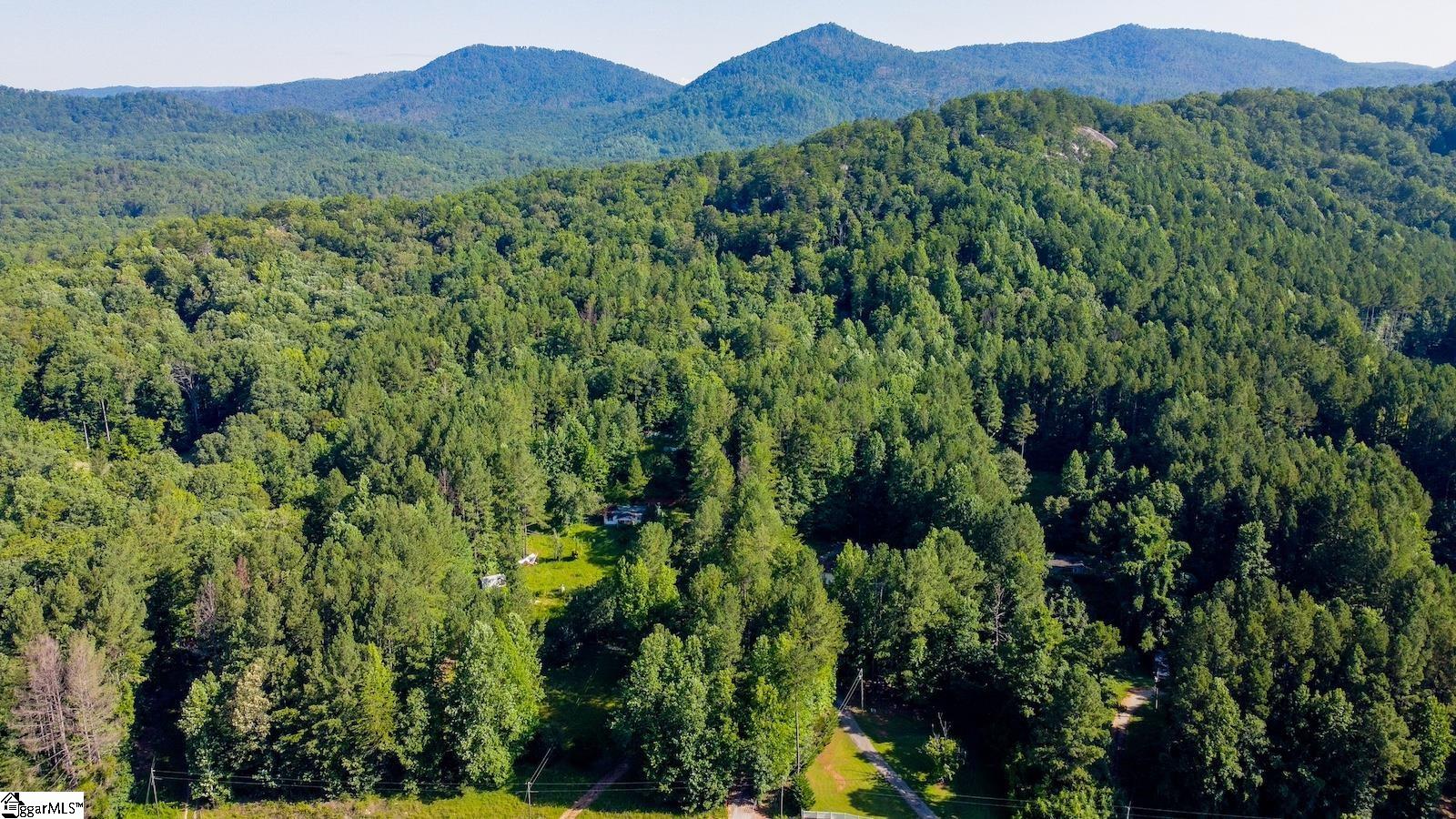 6940 Highway 11 Sunset, SC 29685 - Photo 2 of 14