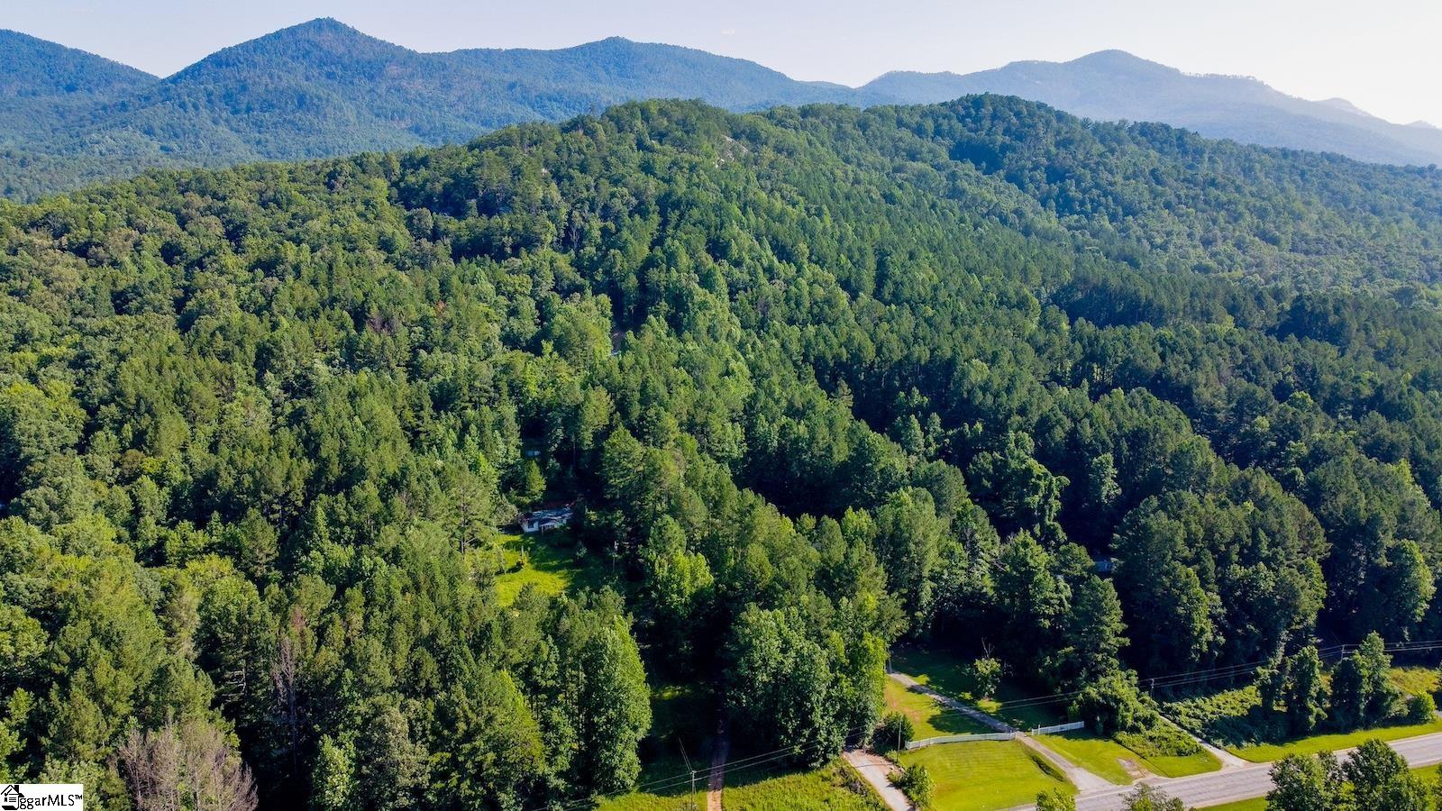 6940 Highway 11 Sunset, SC 29685 - Photo 3 of 14