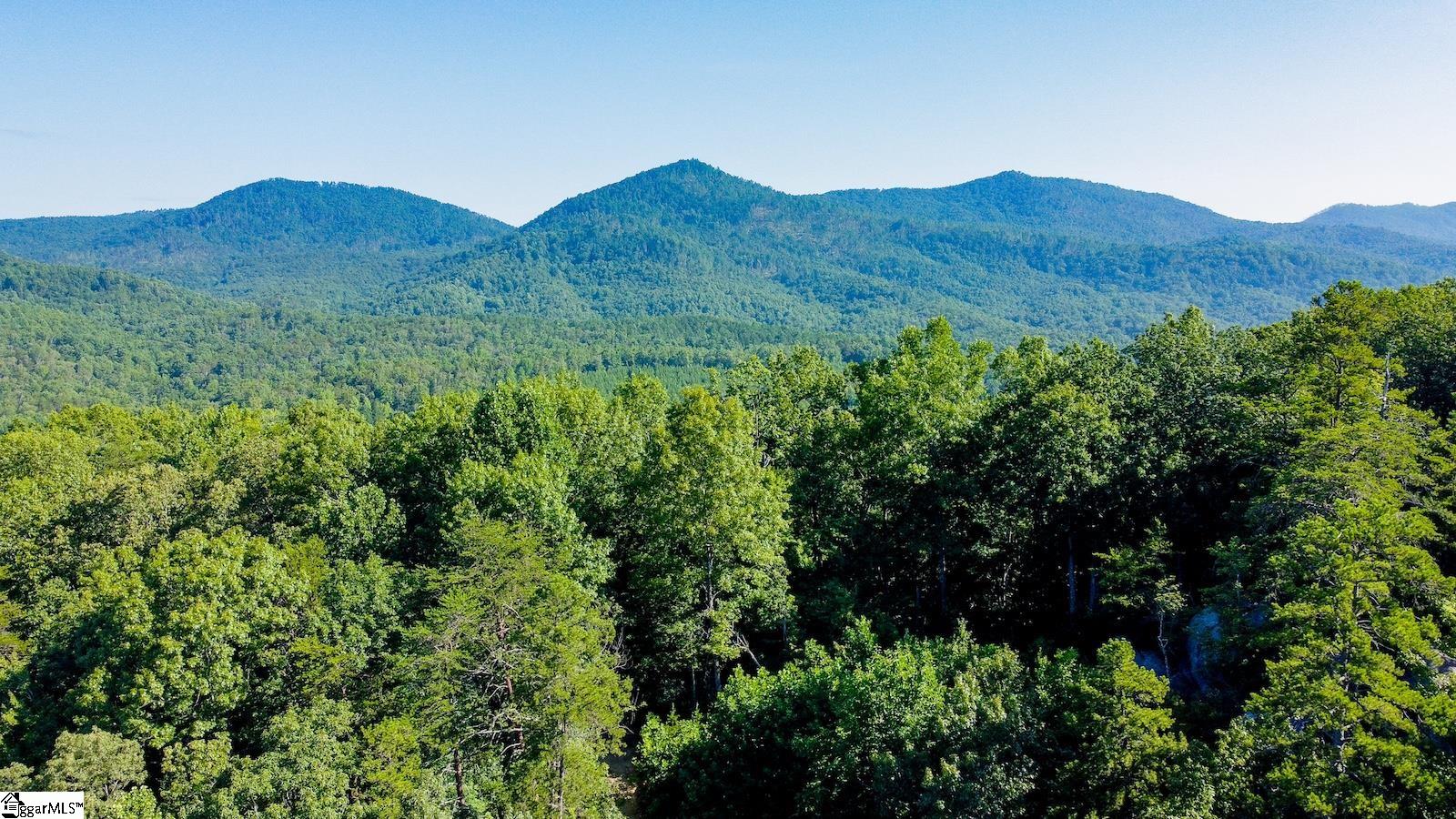 6940 Highway 11 Sunset, SC 29685 - Photo 4 of 14