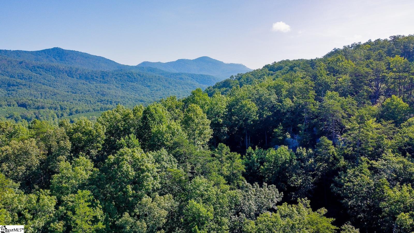 6940 Highway 11 Sunset, SC 29685 - Photo 5 of 14