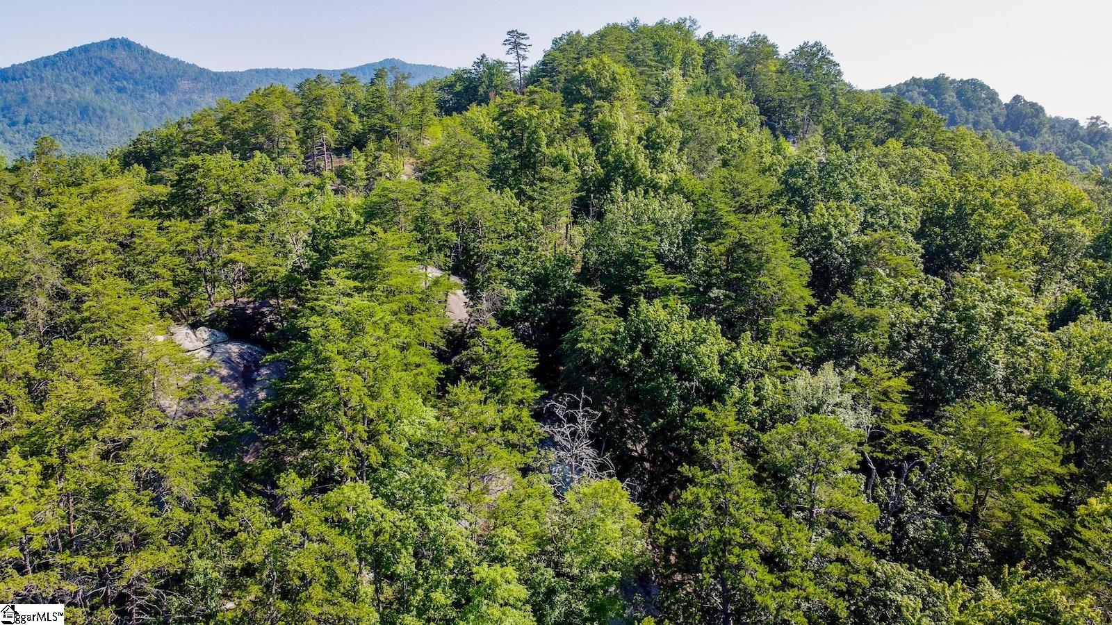 6940 Highway 11 Sunset, SC 29685 - Photo 6 of 14