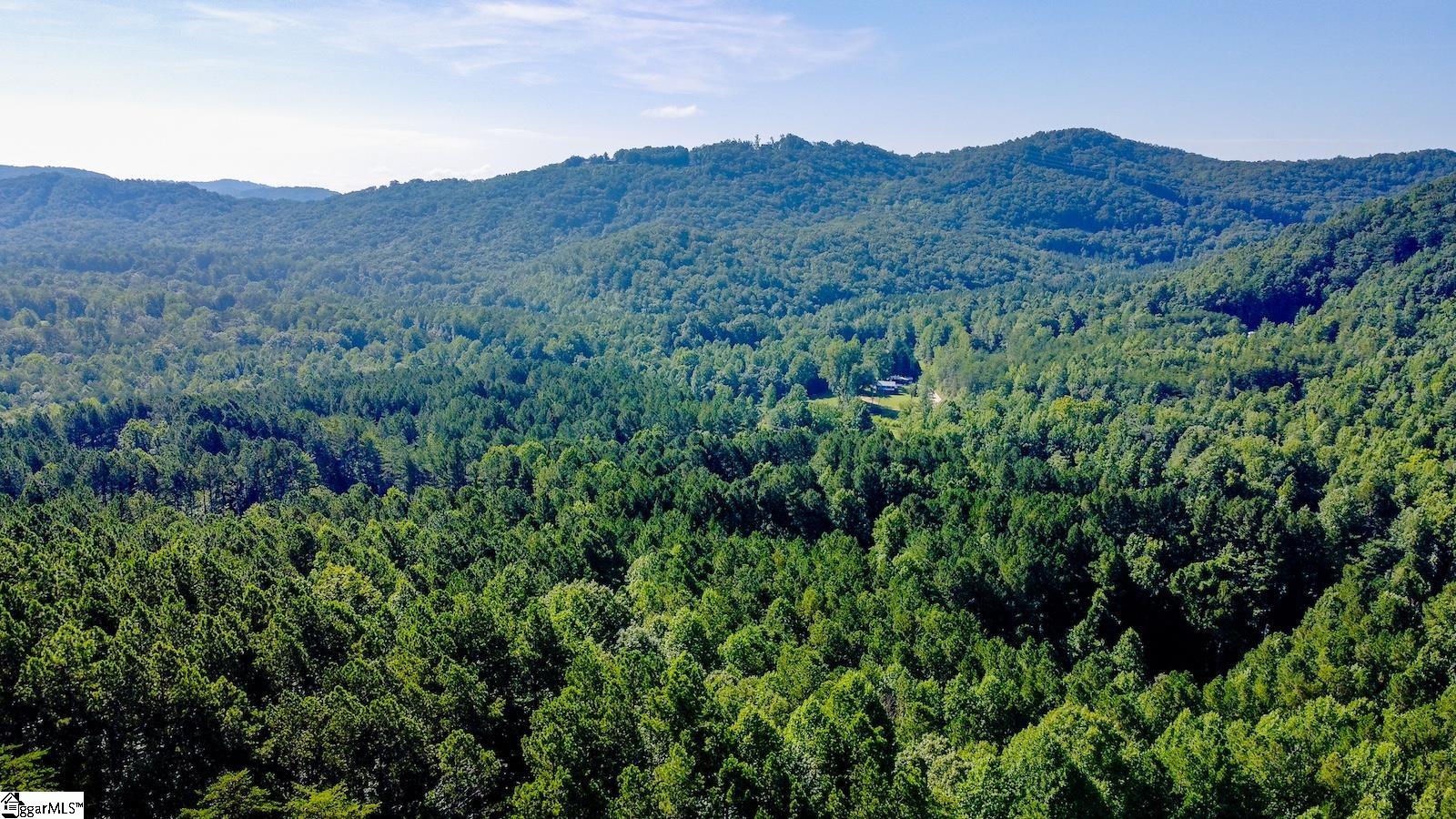 6940 Highway 11 Sunset, SC 29685 - Photo 8 of 14