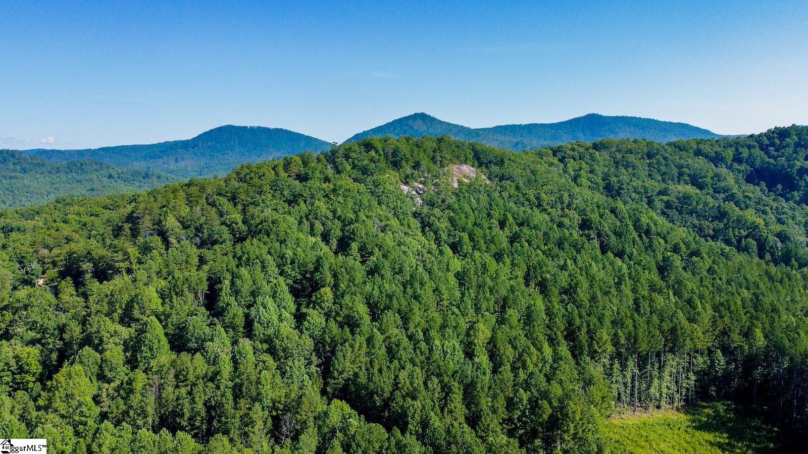 6940 Highway 11 Sunset, SC 29685 - Photo 9 of 14