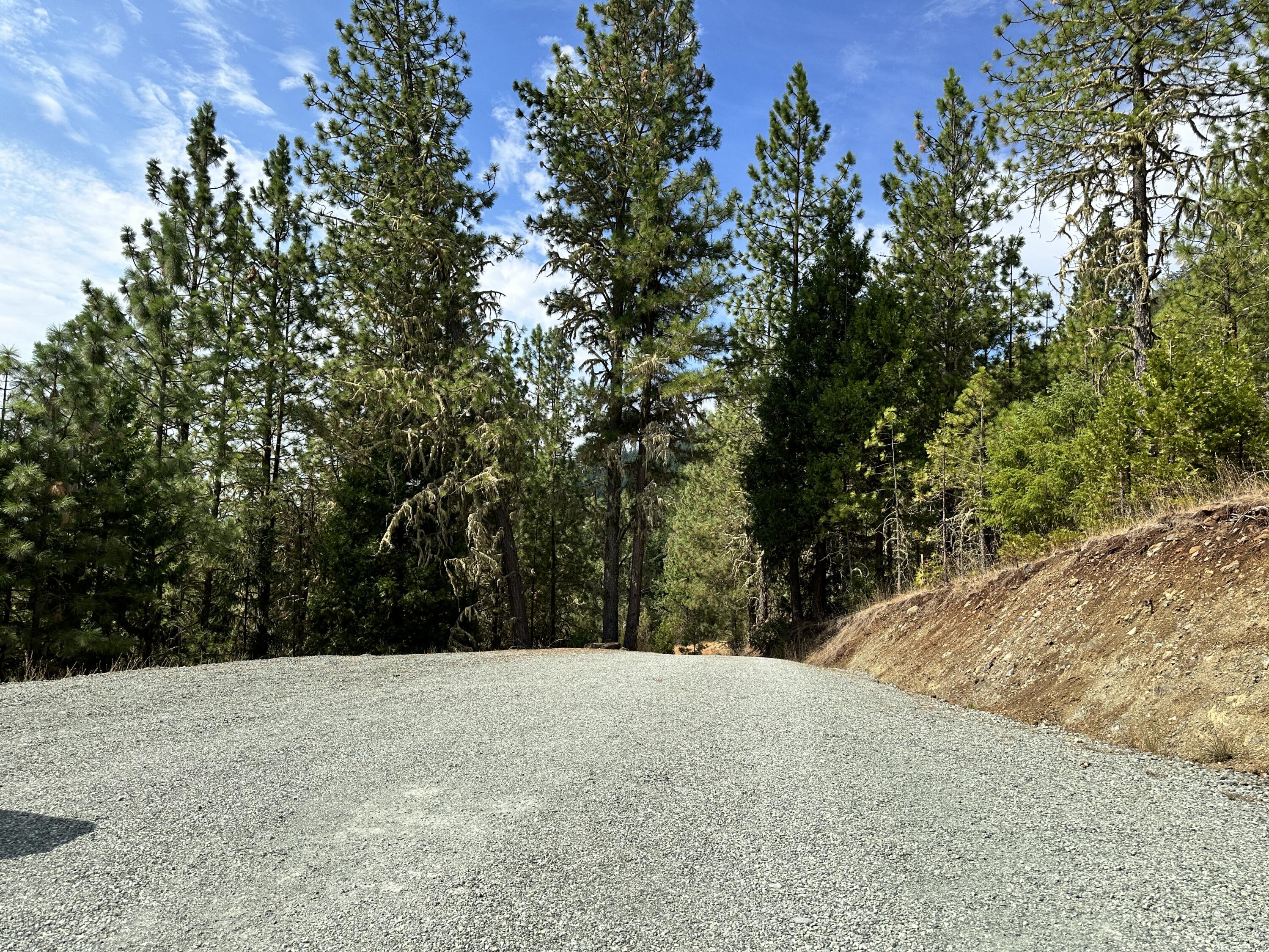 2133 Spring Brook Road Myrtle Creek, OR 97457 - Photo 13 of 33 a view of a dry yard