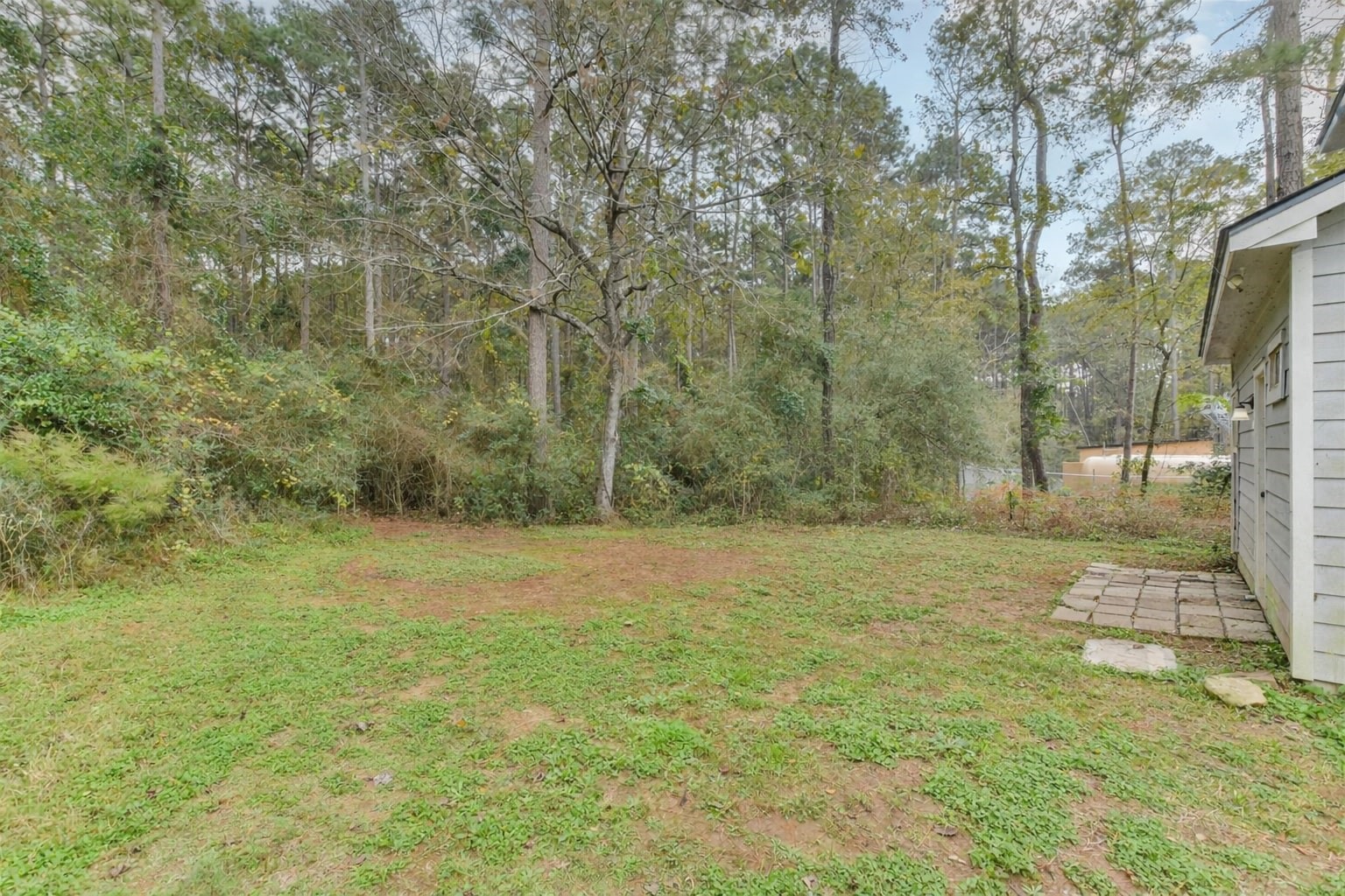 15514 Hickory Drive Montgomery, TX 77356 - Photo 13 of 26 a view of a field with trees