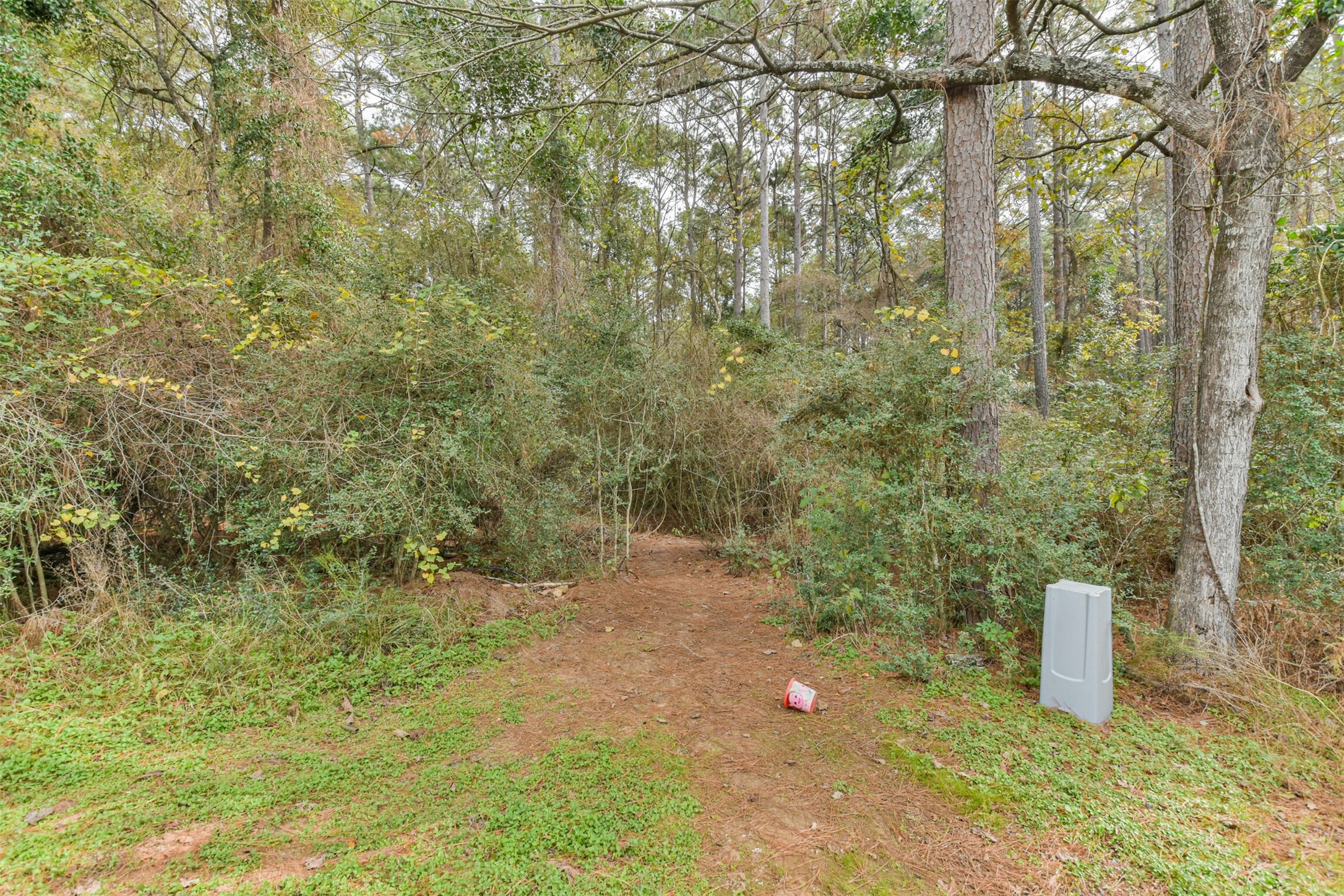 15514 Hickory Drive Montgomery, TX 77356 - Photo 15 of 26 a view of a water fountain with an outdoor space