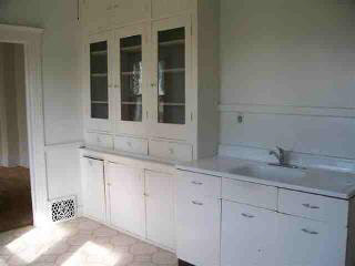 50 Walnut Street River Rouge, MI 48218 - Photo 3 of 8 19515-2.JPG