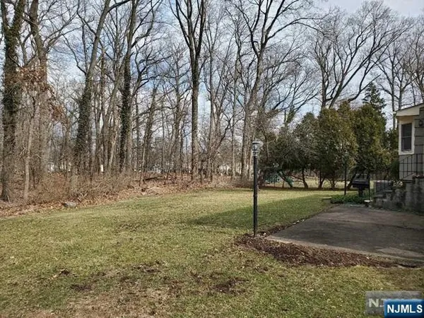 a view of a park that has large trees