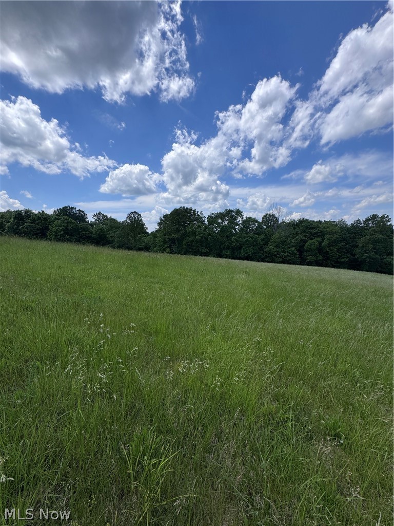 Johnson Ridge Road, Unit 4 6 Stockport, OH 43787 - Photo 10 of 16