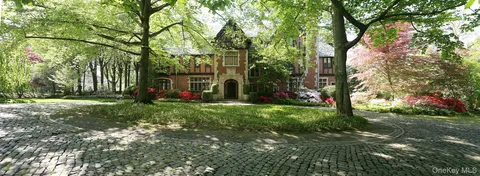 a view of a garden with a tree