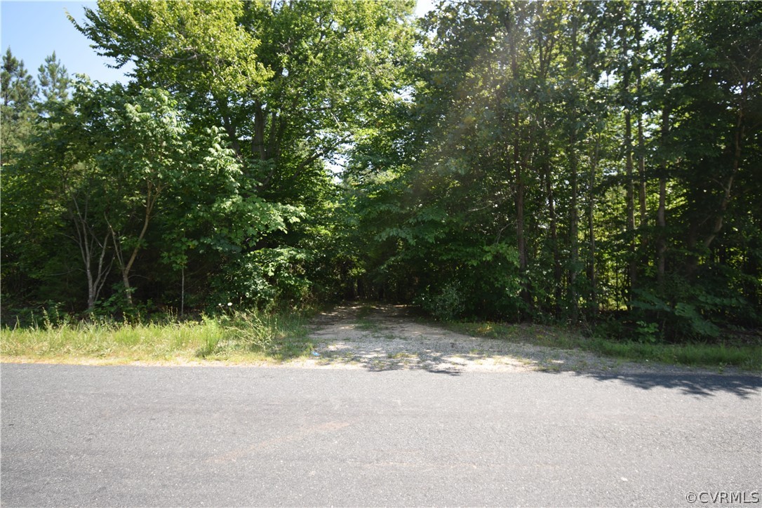 Seven Eleven Road Dillwyn, VA 23936 - Photo 17 of 38 a view of backyard with green space