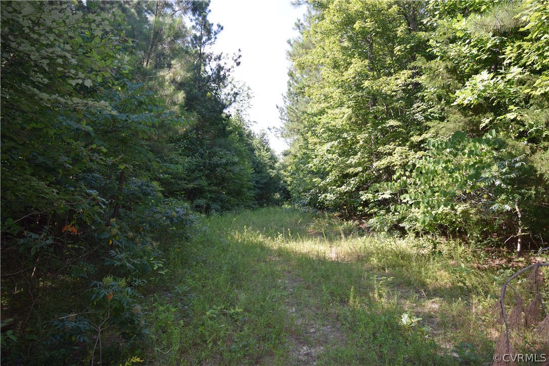 Seven Eleven Road Dillwyn, VA 23936 - Photo 24 of 38 a view of lake with green space