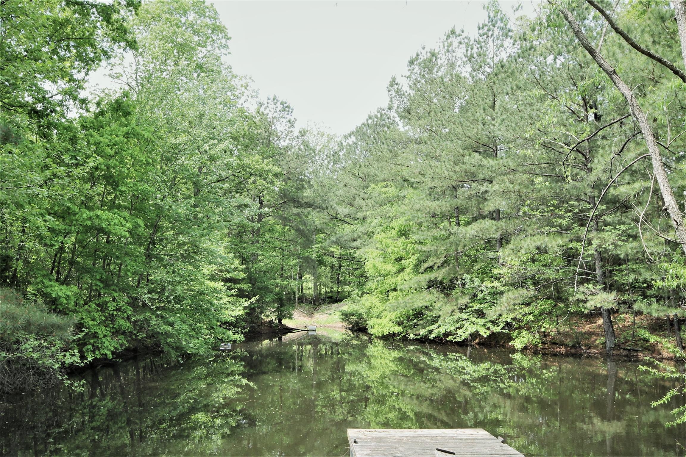 7184 Bahne Road Fairview, TN 37062 - Photo 13 of 14 a view of a forest