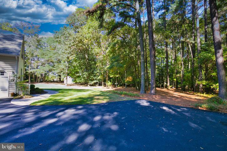 3589 Union Church Road Salisbury, MD 21804 - Photo 79 of 84 a view of a tree in the middle of a yard